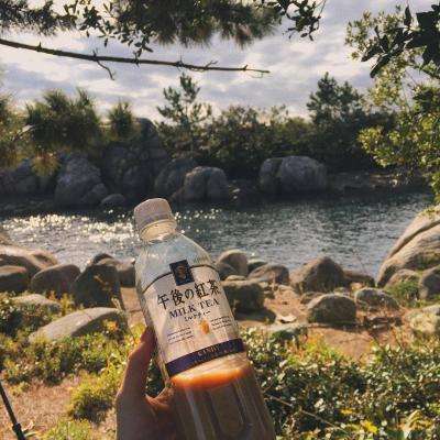 乐鱼app登录入口手机app下载截图